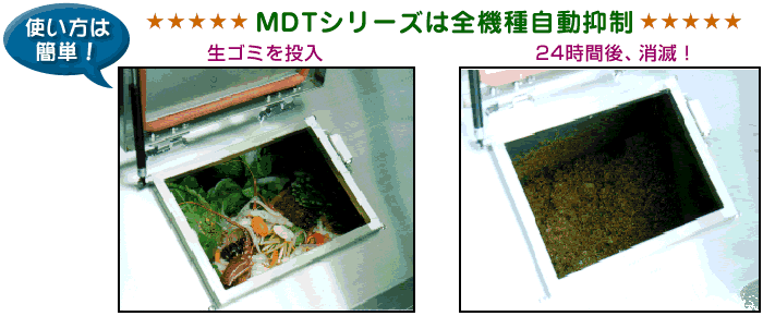 �t�H�[�X�^�[�YMDT�V���[�Y
